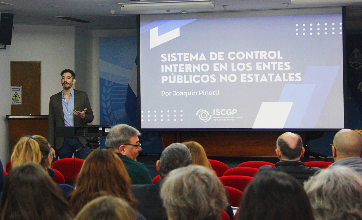 El sistema de control interno en los entes públicos no estatales